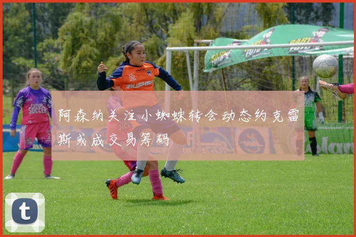 阿森纳关注小蜘蛛转会动态约克雷斯或成交易筹码